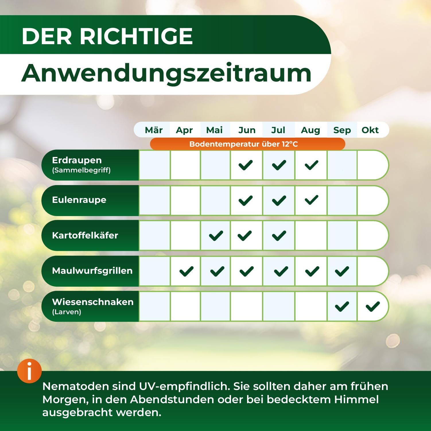 Legona SC-Nematoden gegen Maulwurfsgrillen und Wiesenschnaken, 50 Mio. für 100 m² oder 250 L Blumenerde, Steinernema carpocapsae