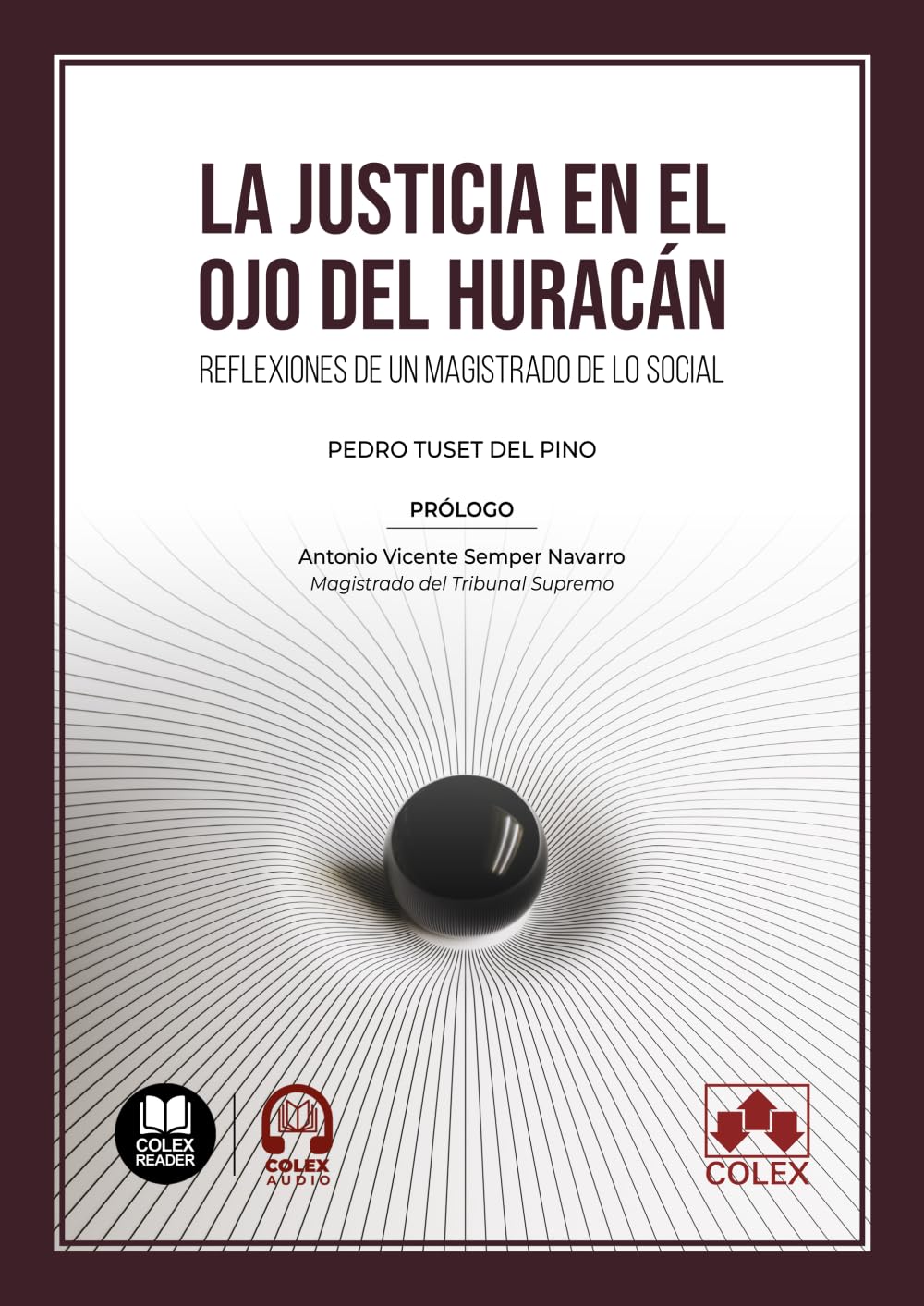 La Justicia en el ojo del huracán: Reflexiones de un magistrado de lo social (Monografías)