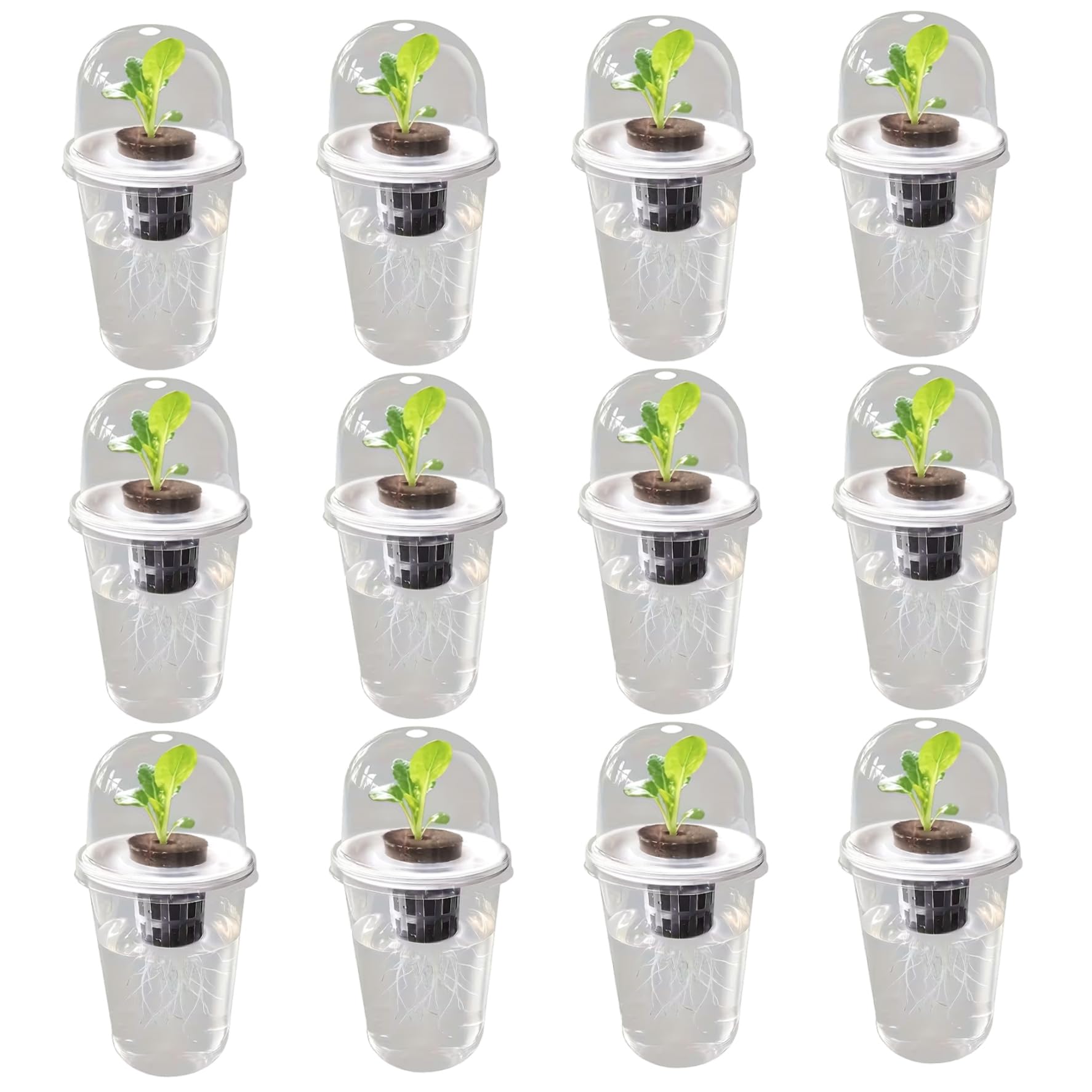 Tsawntd Hydroponic Pots 12PCS Transparent Propagation Cups for Seed Starting Plastic Clear Self Watering Pots for Indoor Plants