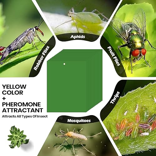 Miniatura 5 de 100 trampas adhesivas de 6 x 8 pulgadas para plantas, trampas adhesivas de doble cara para mosquitos con lazos giratorios, trampas adhesivas para