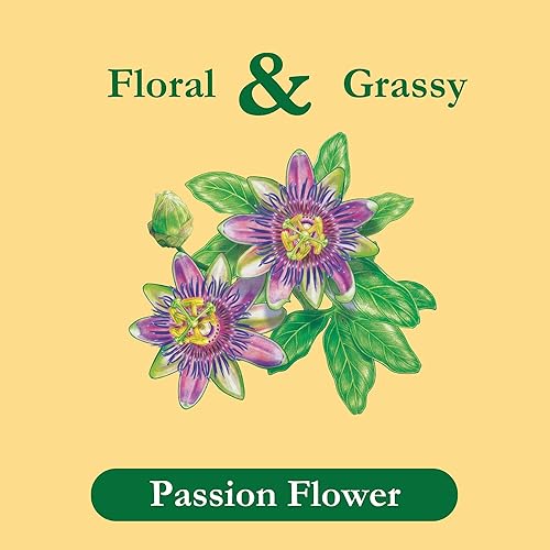 Miniatura 3 de Tadin Herb  Tea Co Té de Pasiflora Sin cafeína 24 bolsitas de té Paquete de 6