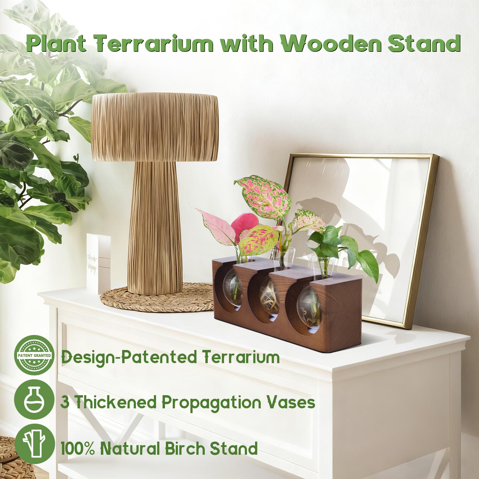 Station de propagation de plantes avec support en bois, terrarium avec 4 modes d'éclairage LED réglables à 9 niveaux, 3 vases de propagation en verre pour culture hydroponique, tubes de propagation