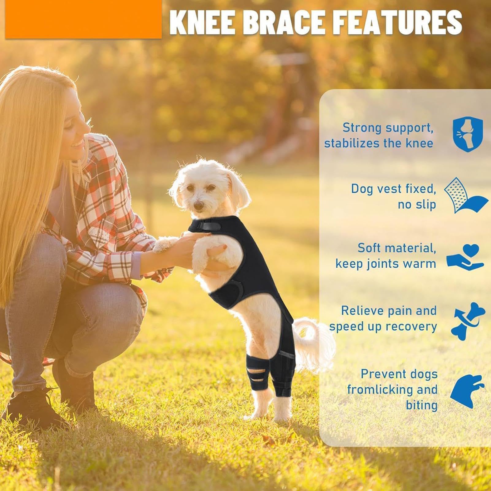 Genouillères pour Chien Patte Arrière Bandage Articulaire Réglable | Support Pour Patte Arrière De Chien Avec 4 Stabilisateurs En Métal Pour Marche Randonnée Exercice Activités Extérieures Parc
