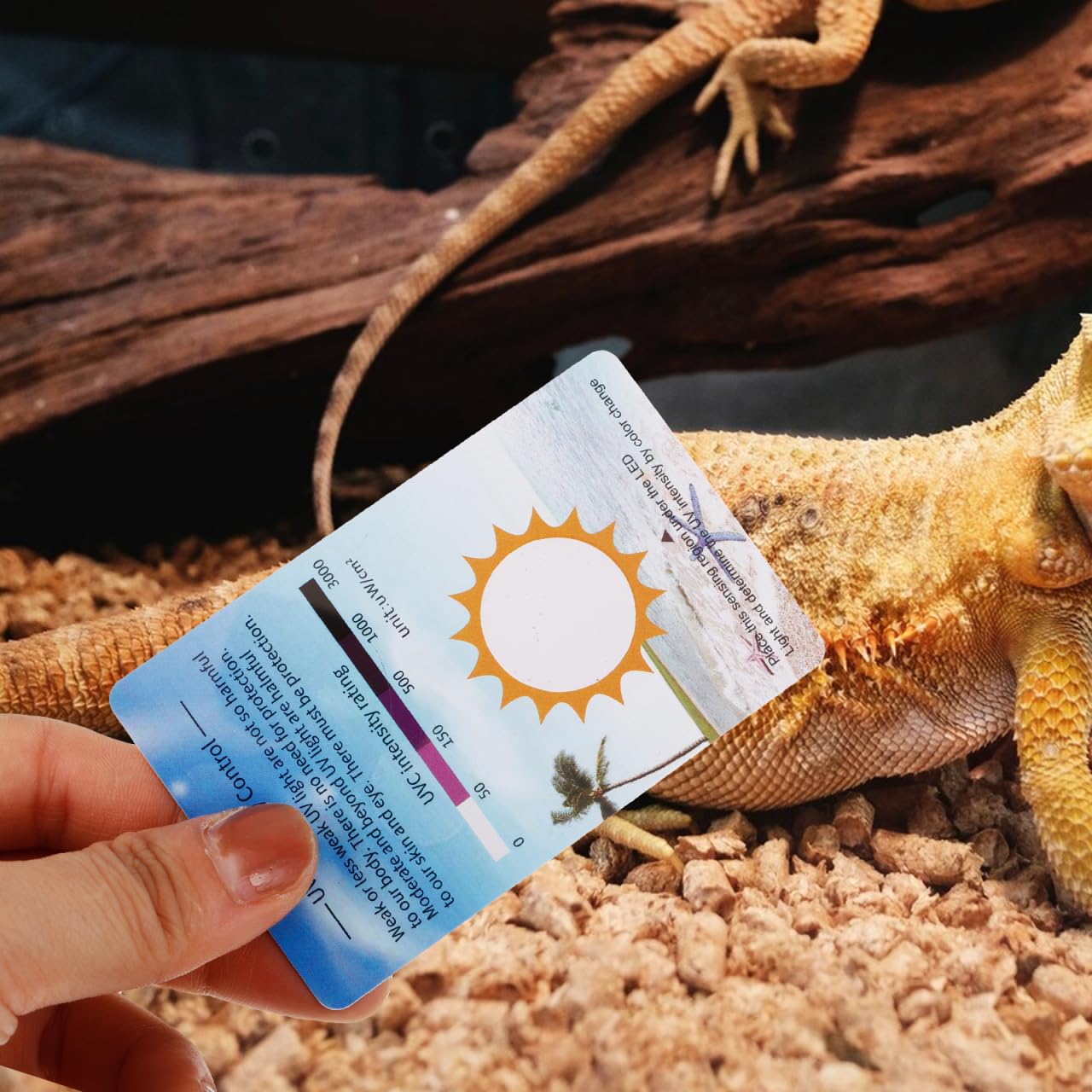 COLLBATH 10 Piezas Tarjeta Prueba UV Sensores Cambio de Color para Terrarios Reptiles Detectores Intensidad Luz Ultravioleta Monitoreo en Tanques de Cristal Incluye Escala de Referencia