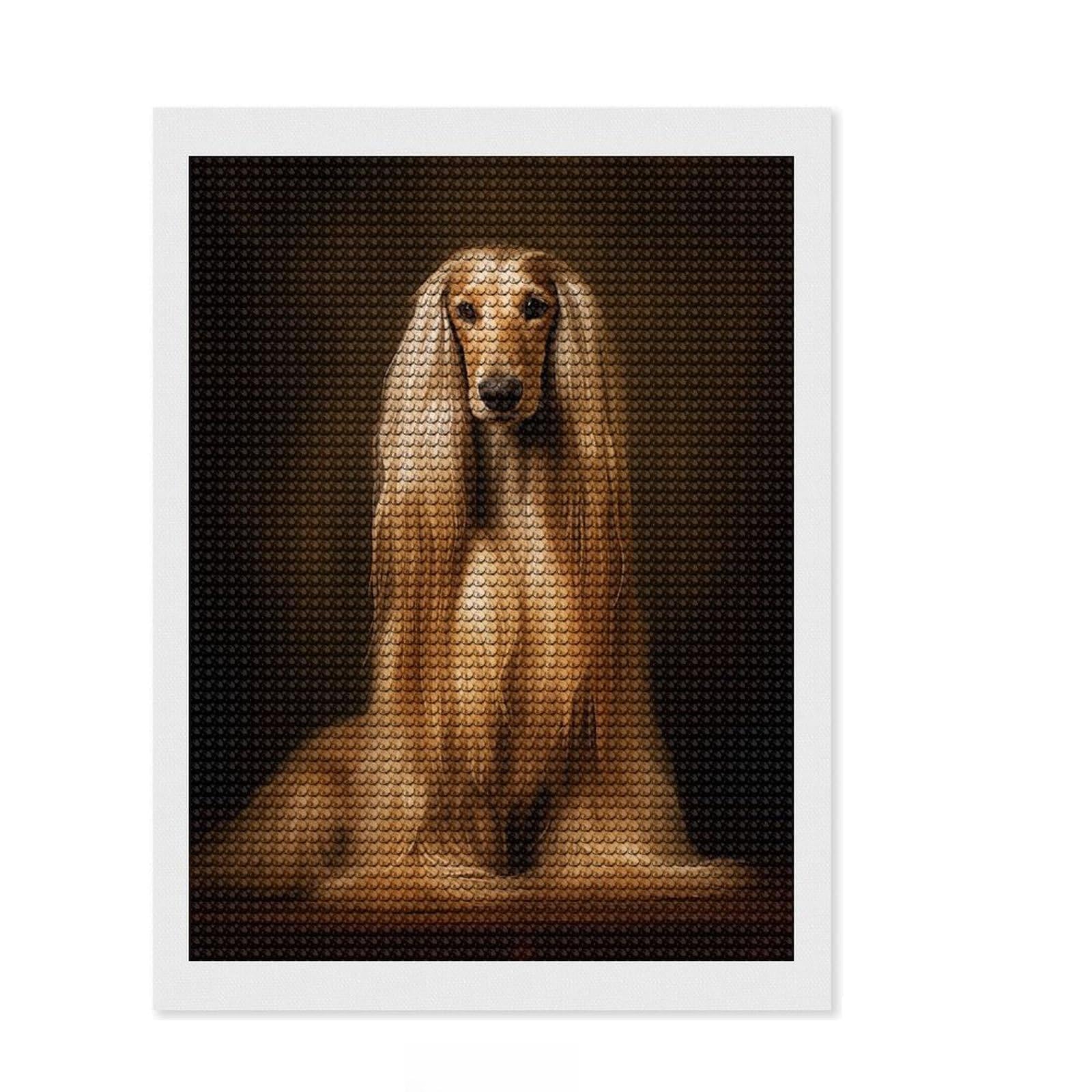 Junmoney Afghan Hound Diamond Painting Canvas Set 12"x16", with Tool Kit, Neat Printed Canvas, Vintage Style Decor, Holiday Gift Idea