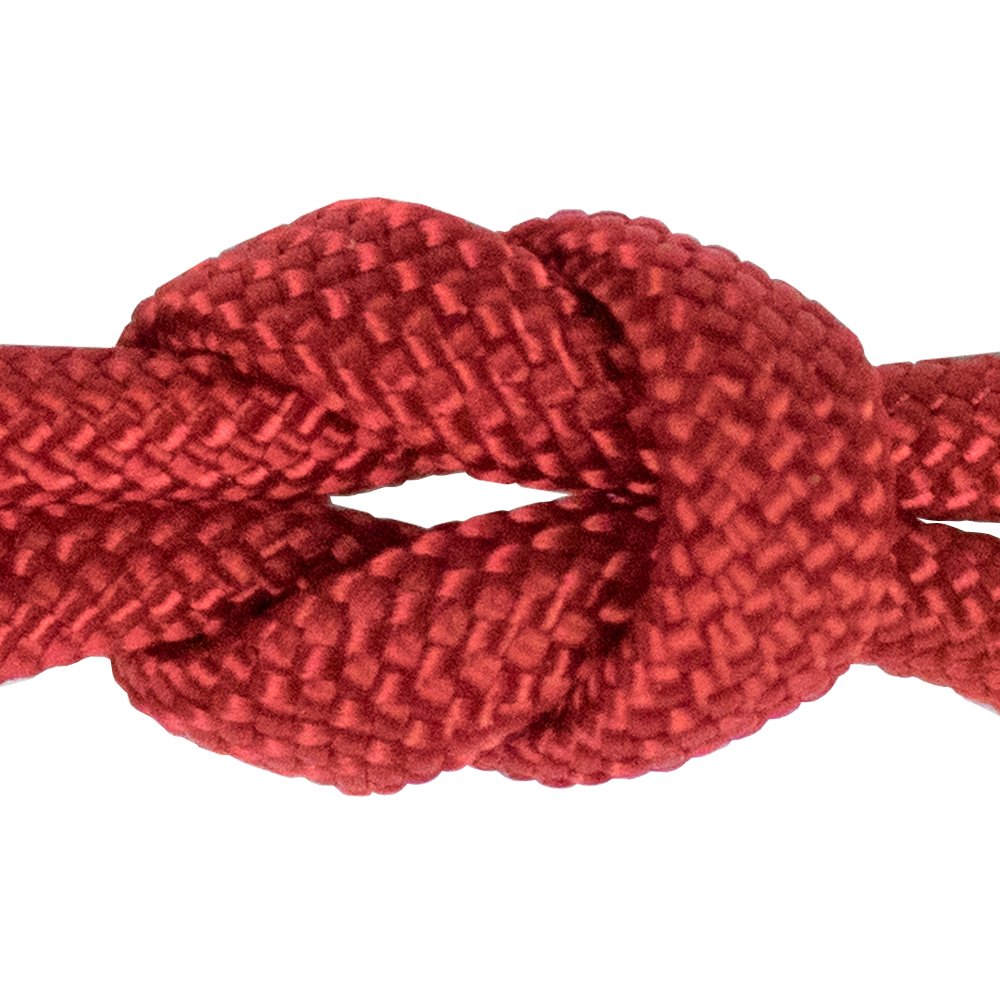 West Coast Paracord - Paracord Parachute Cord 7 Strand Type III 550 lb Break Strength Made by US Government Contractors, 550 Survival Cord, Made in USA