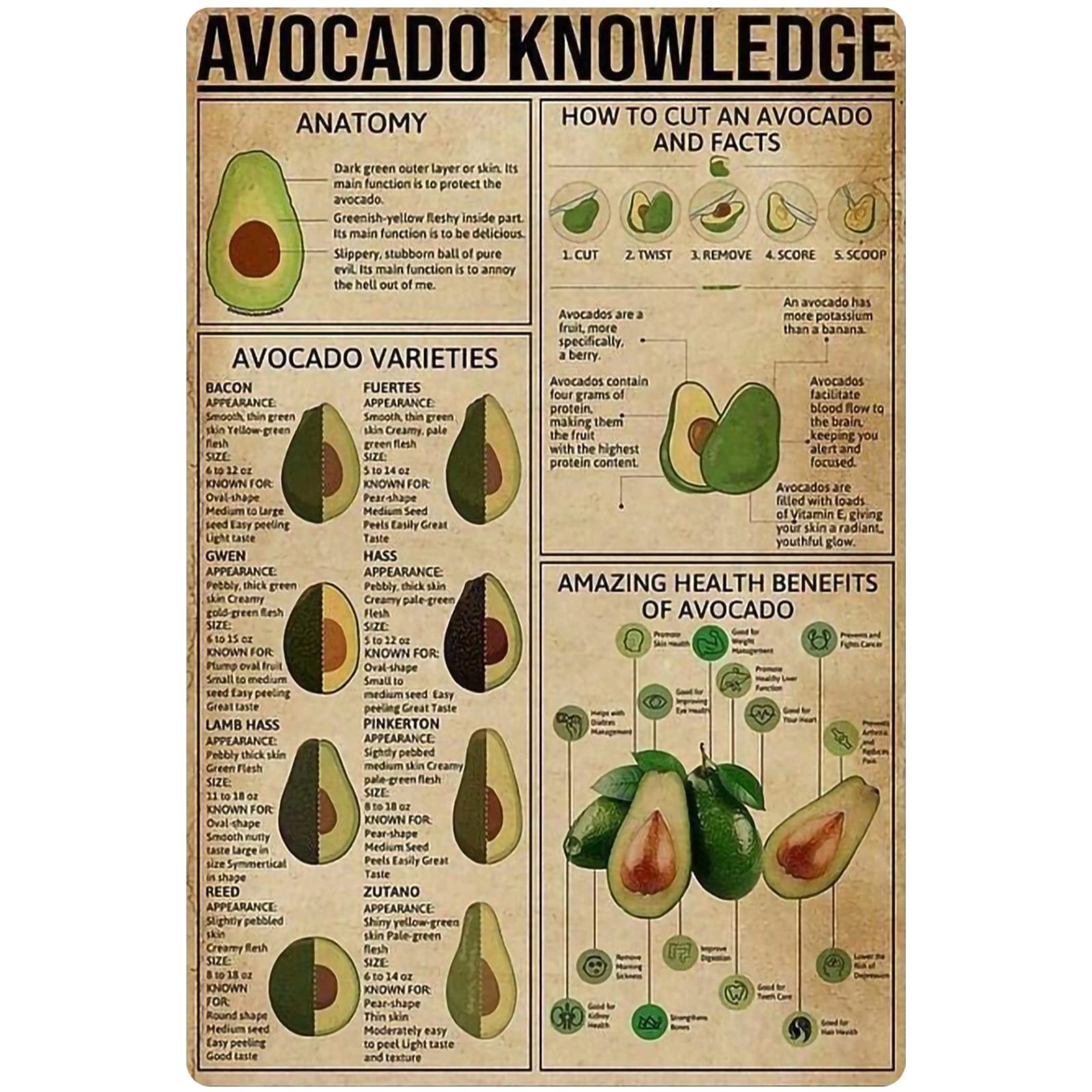 TFZQm Avocado Knowledge Metal Tin Sign Fruit Anatomy Poster School Education Home Kitchen Restaurant Fruit Shop Club Wall Decoration Plaque 8x12 Inches