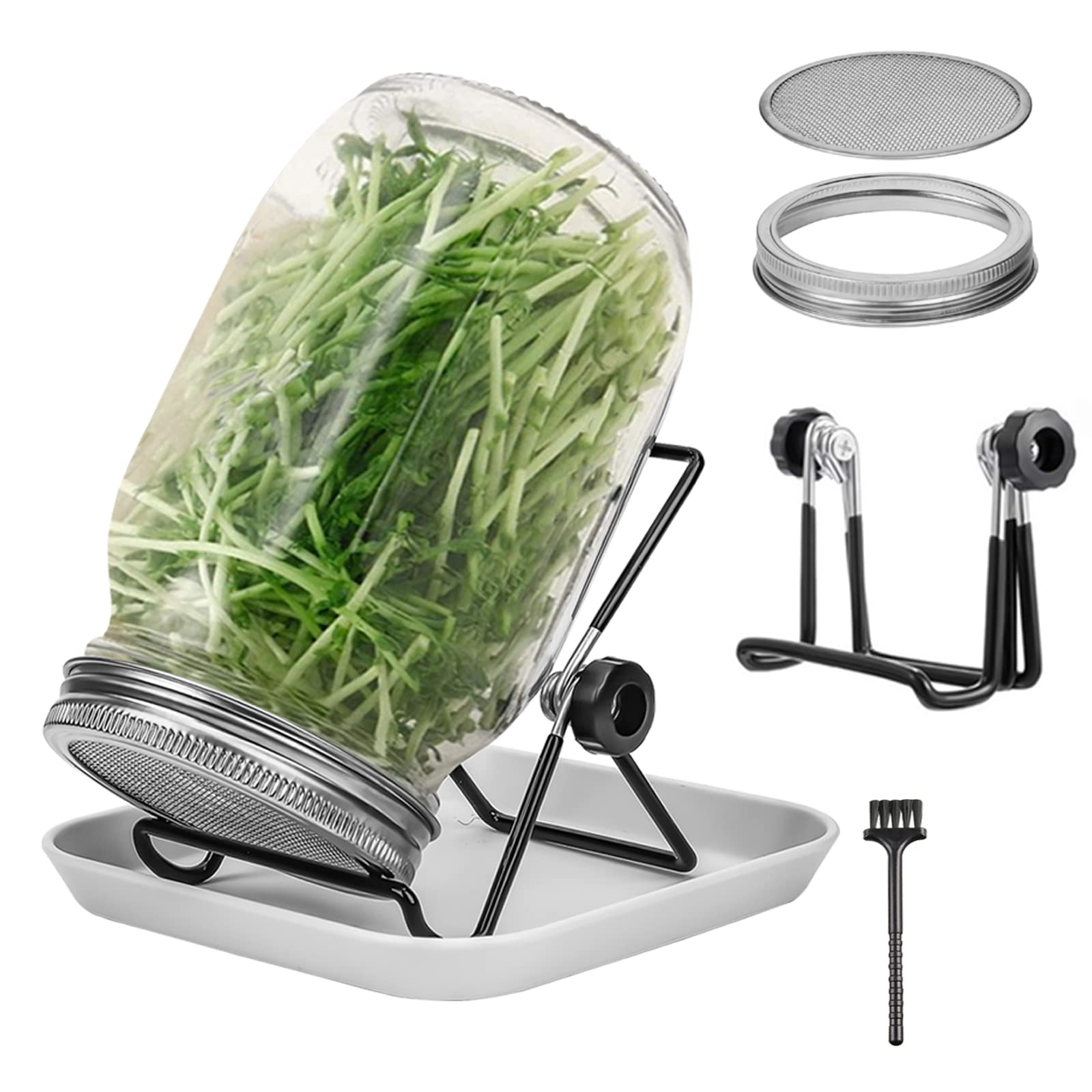 Buy Sprouting Kit, One Sprouting Jar Kit, One Wide Mouth Quart Mason