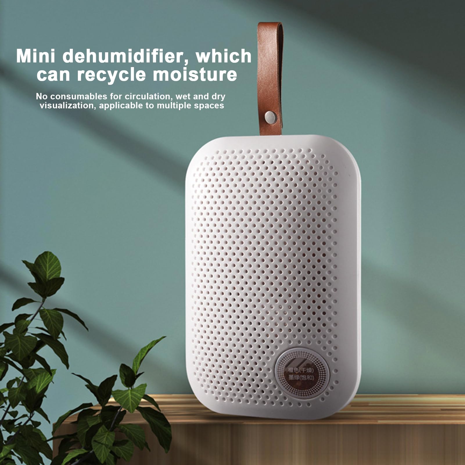 Deumidificatore Mini Assorbitore Di Umidità | Portatile e Silenzioso con Cordoncino per Interni Armadio Guardaroba Soggiorno e Mobile