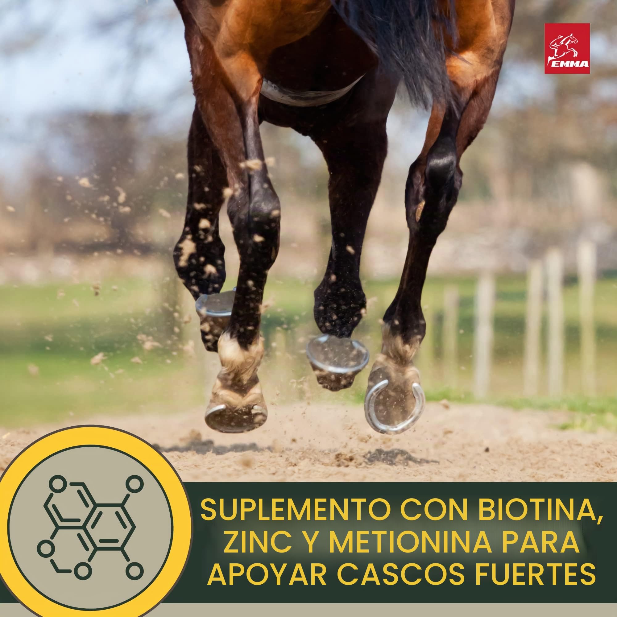 Biotina Caballo + Zinc Caballo Altamente Dosificado 1Kg - Alimento Mineral con Problemas de Pezuñas con Biotina y Zinc I Cura de Pezuñas para Pelo Pezuñas y Crecimiento de Pezuñas I Cambio de Pelaje