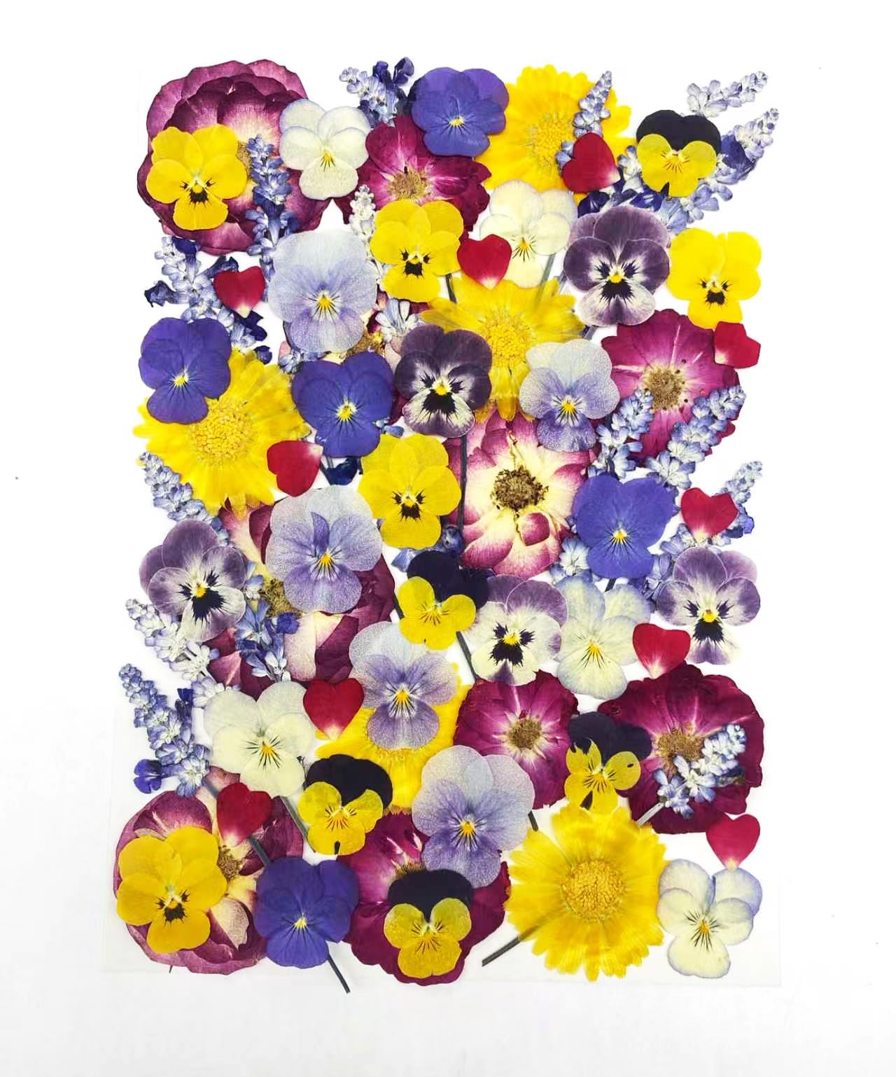 70 Pcs Edible Dried Pressed Flowers for Cake Decorating, Natural Rose & Viola & Marigold & Lavender Mix, Food Safe for Resin Jewelry, Candle Making, Potpourri, Frame & Dessert Decoration
