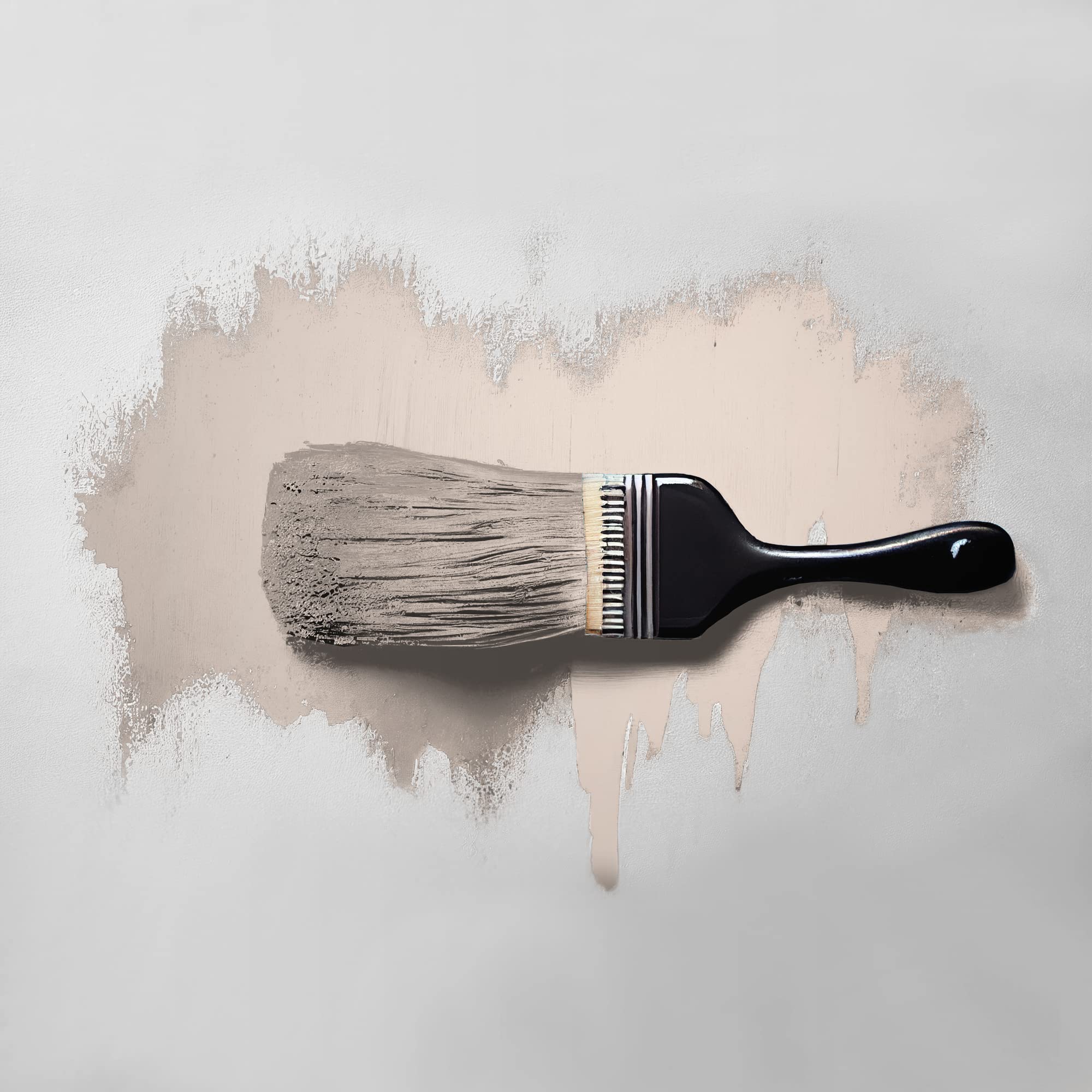 The Color Kitchen - Pintura para pared (5 L, para salón y dormitorio), color beige mate