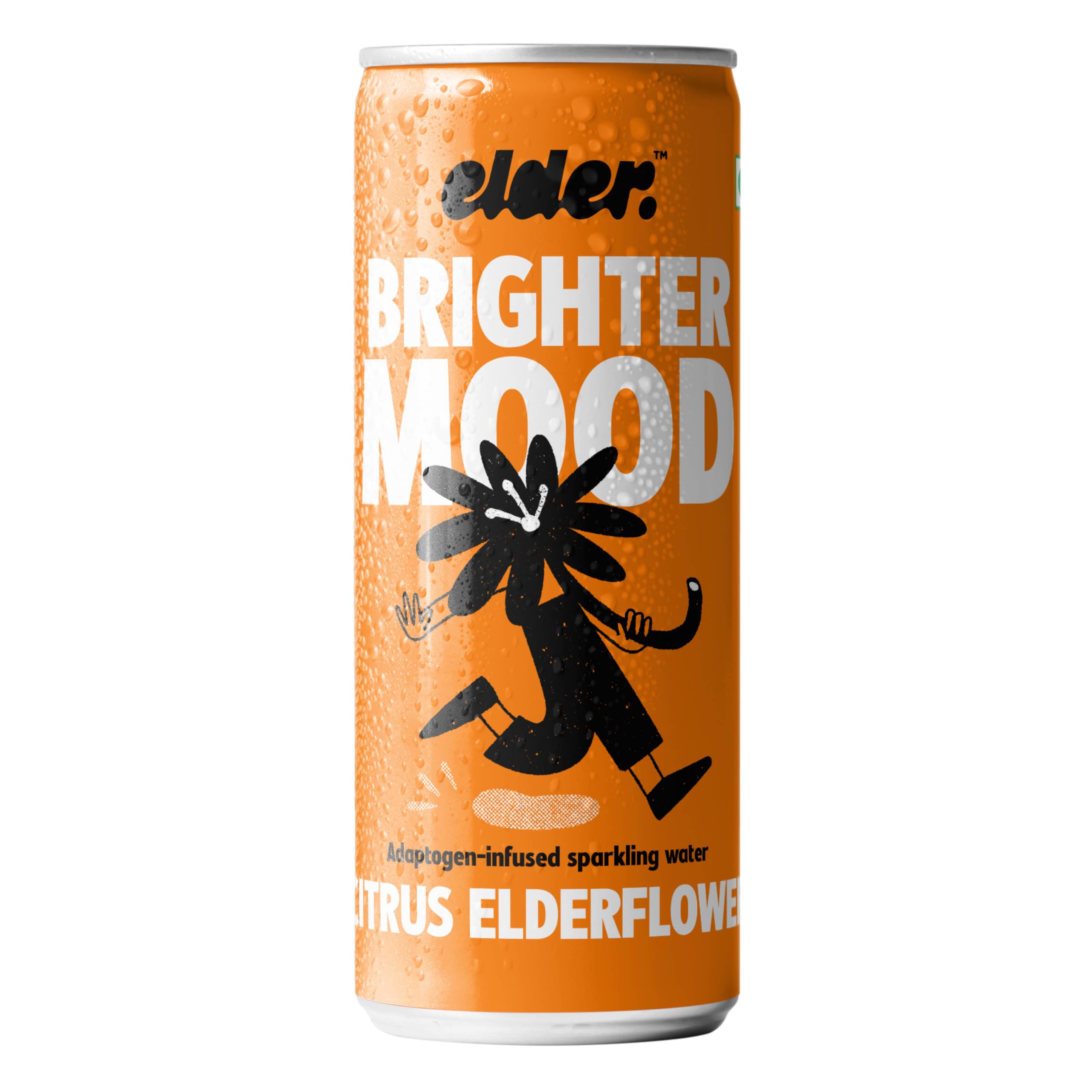 Elder Citrus Elderflower Adaptogen Infused Sparkling Beverage | For Mood & Uplift-image-11