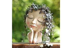 AIMEBBY Face Vase Planter