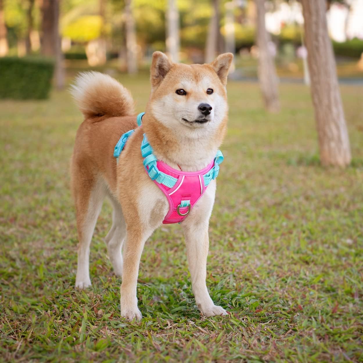 PHOEPET No Pull Dog Harness, Unique Colors Reflective Adjustable Dog Vest - Image 3