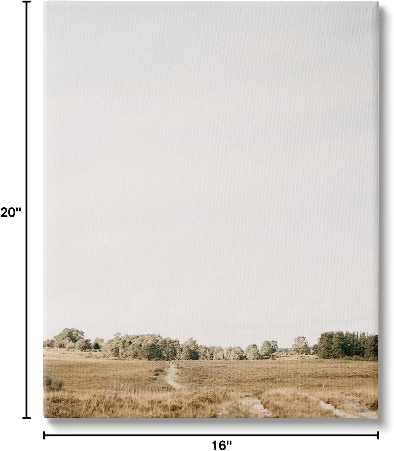 Stupell Industries Country Sky Photography Canvas Wall Art by Leah Straatsma