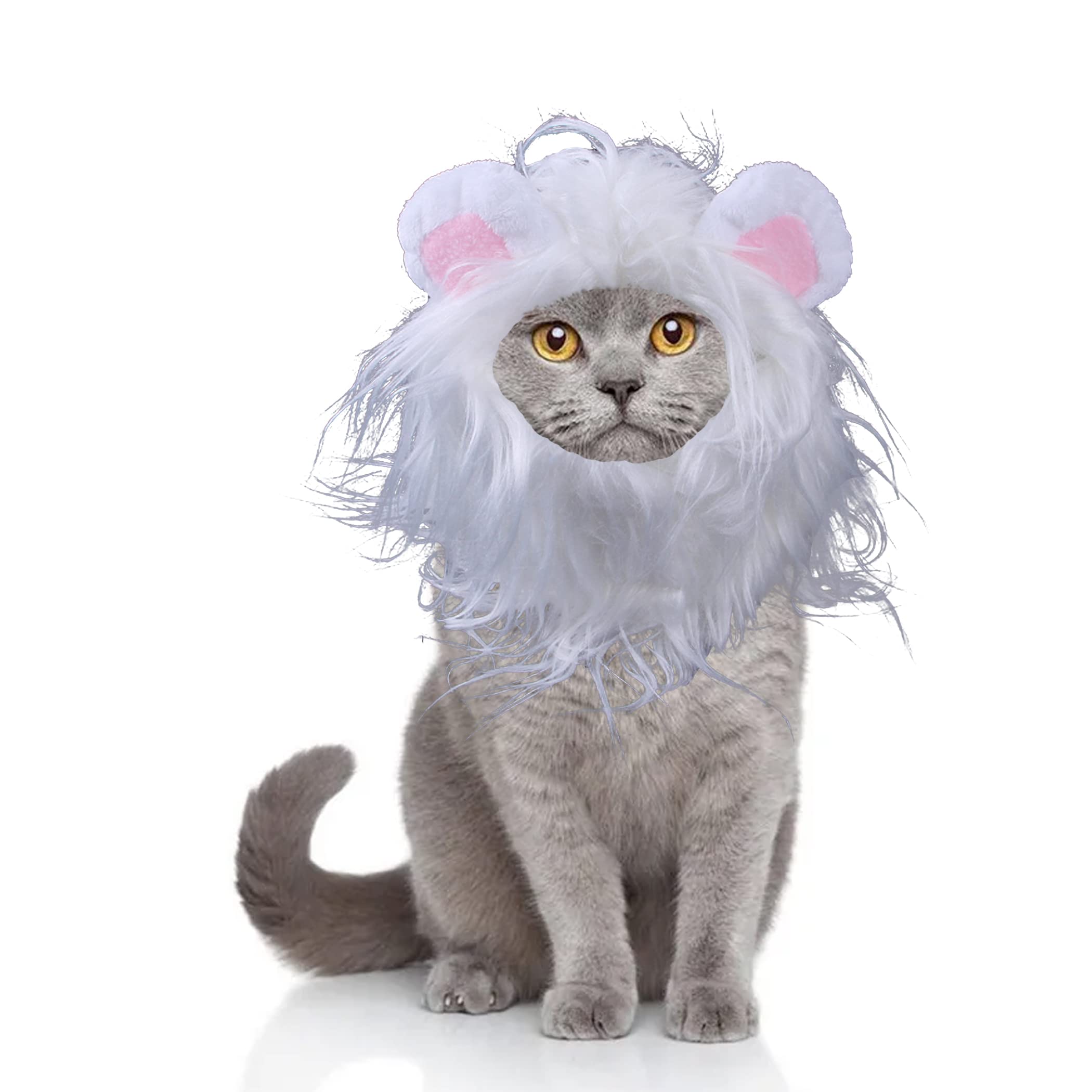 Amazon | DERAYEE 猫 被り物 ライオン ハロウィン 猫用ウィッグ 小型犬 