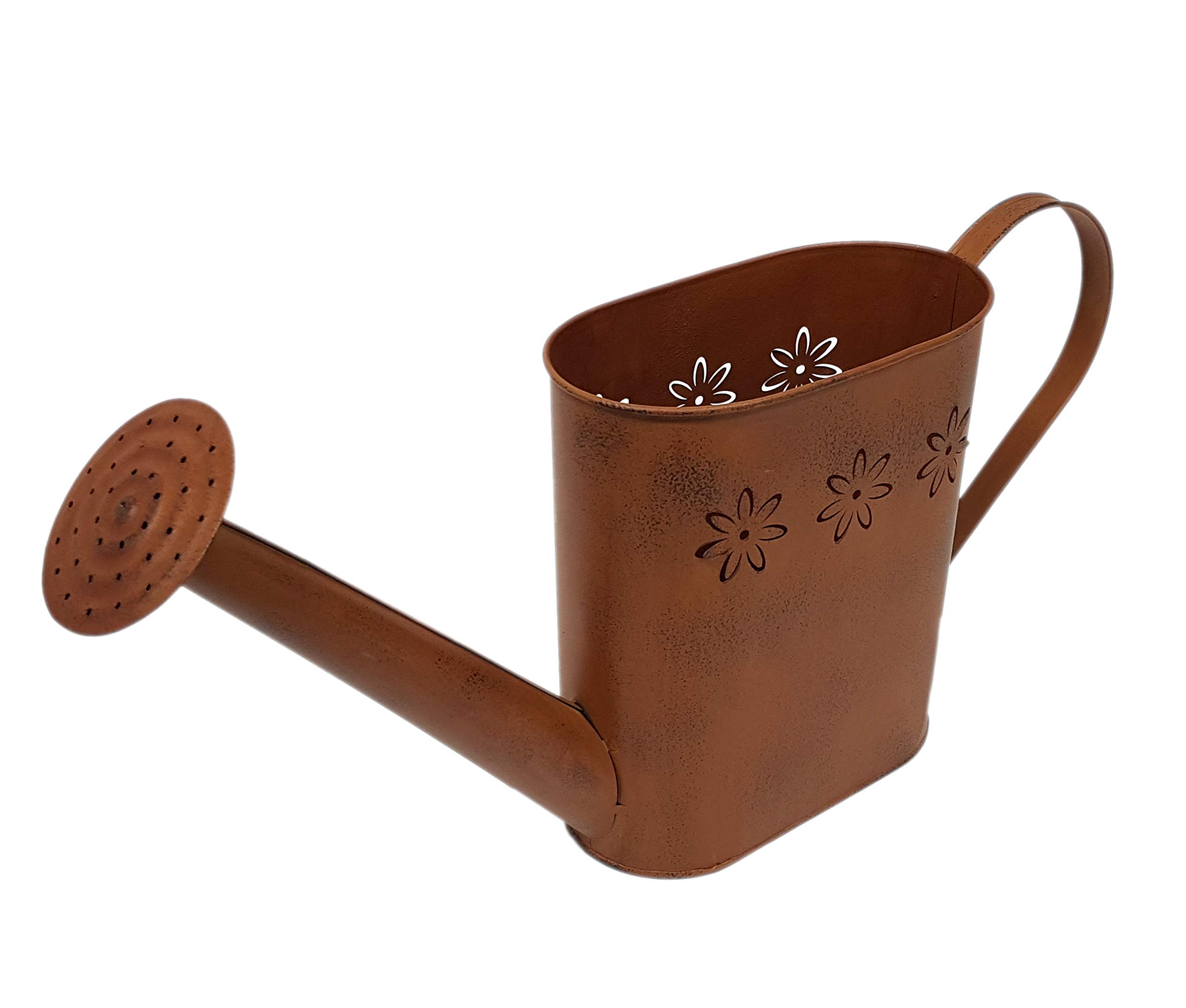 Arrosoir à planter magnifique pour éviter les fuites d'eau sur vos meubles et parquets