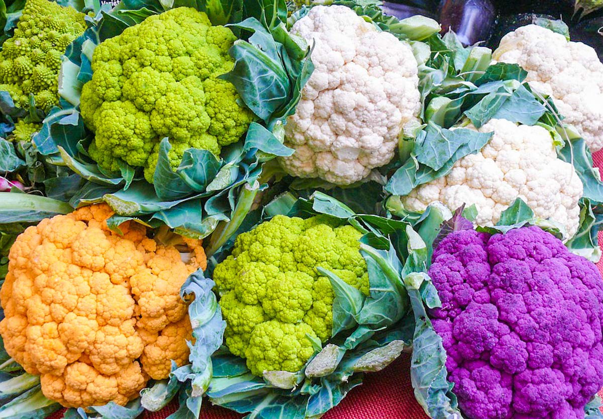 Golden Hills Farm® (AVG 500-2000) seeds CAULIFLOWER ORGANIC F1 HYBRID SEEDS (B08644WY14) Amazon Price History, Amazon Price Tracker
