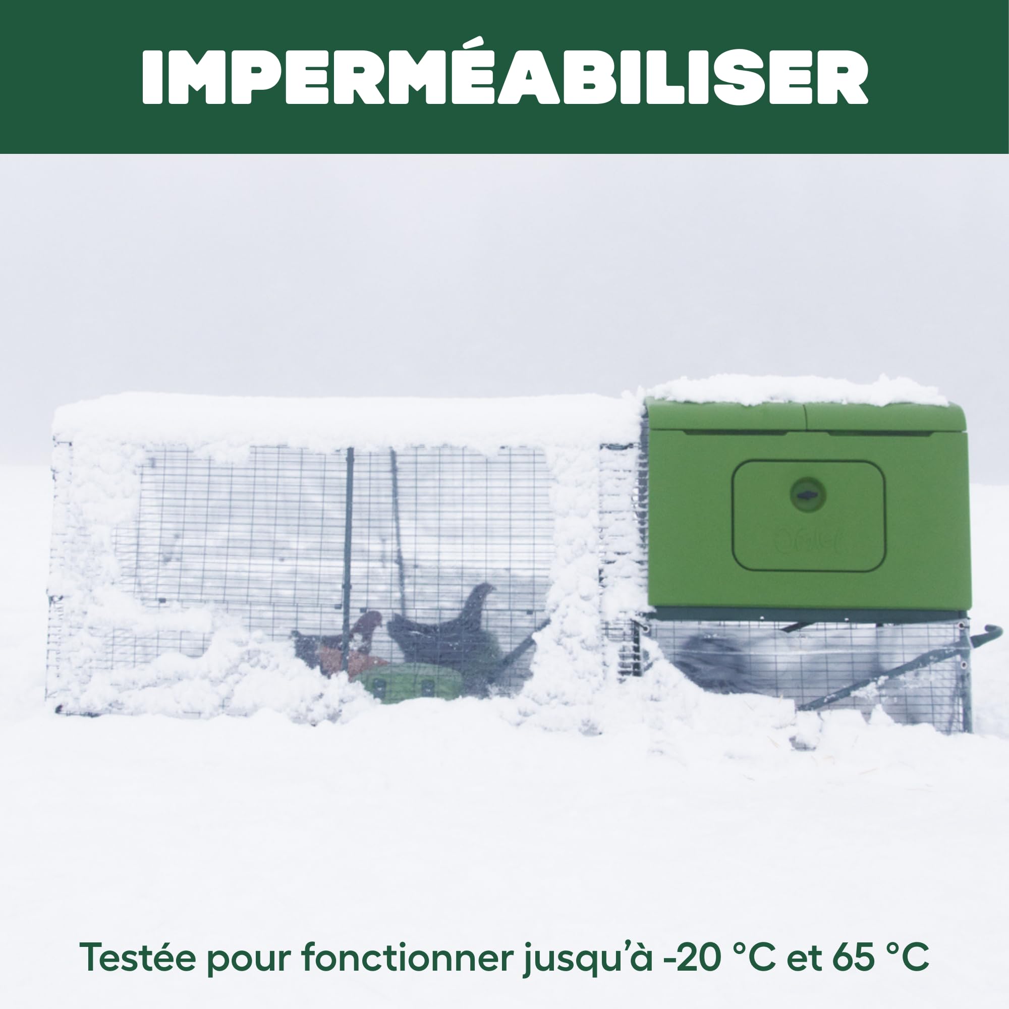 Omlet Porte de Poulailler Automatique | Ouverture et Fermeture par Capteur de Lumière ou Minuterie | Facile à Installer et sans Entretien | Sécurité Renforcée et Meilleure Isolation | Vert