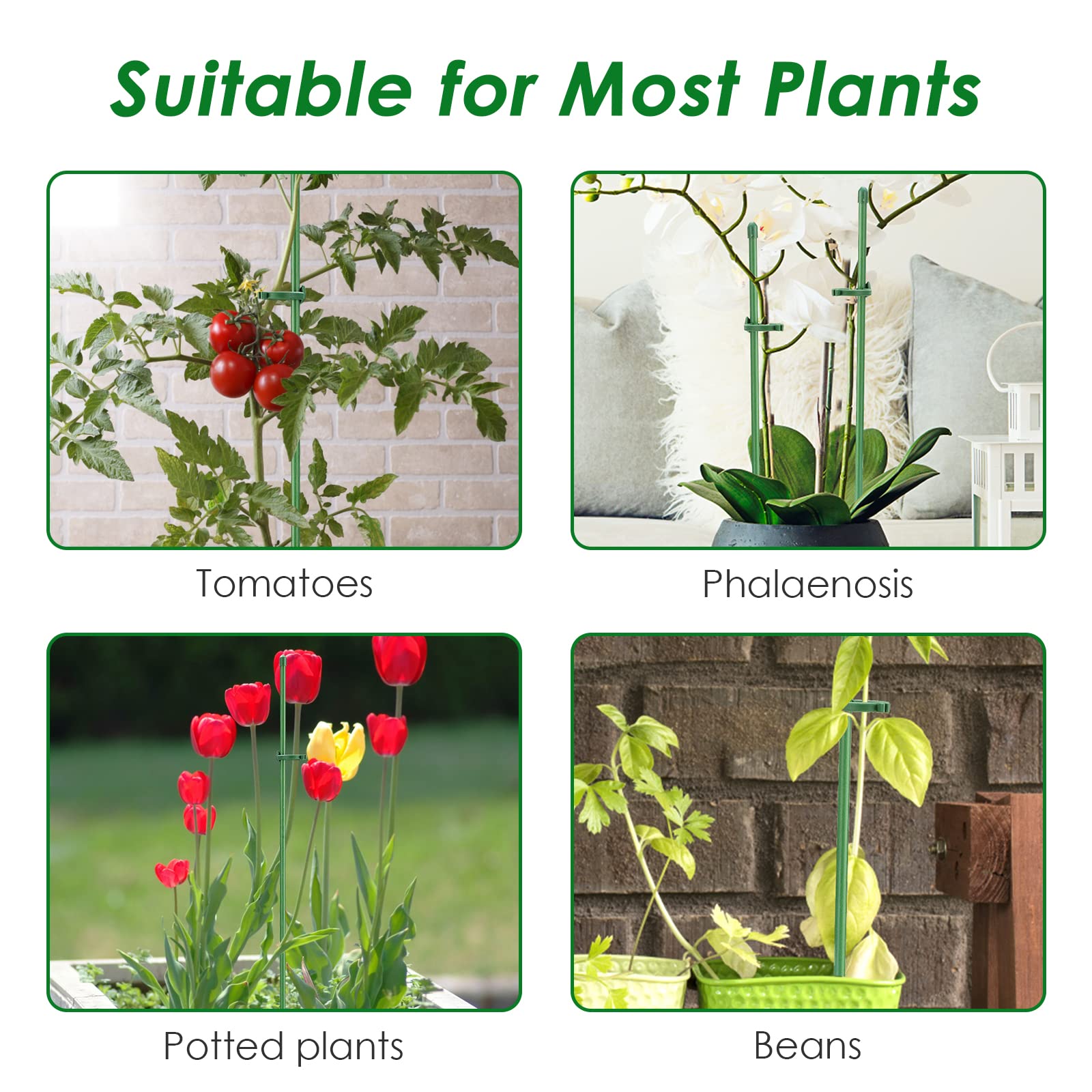 120 PCS) Tutori per Piante, 20 Pezzi Sostegno per Piante, Viene Fornito con 40 Moschettoni con 20 Tubi di Srolunga, Supporti per Orchidee, Bastoncini Sostegno Piante, Tutori per Piante