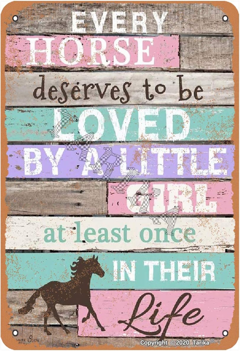 Letrero decorativo de hierro con aspecto vintage de 8 x 12 pulgadas con texto en inglés Every Horse Merves to Loved by Little Girl at Least Once in