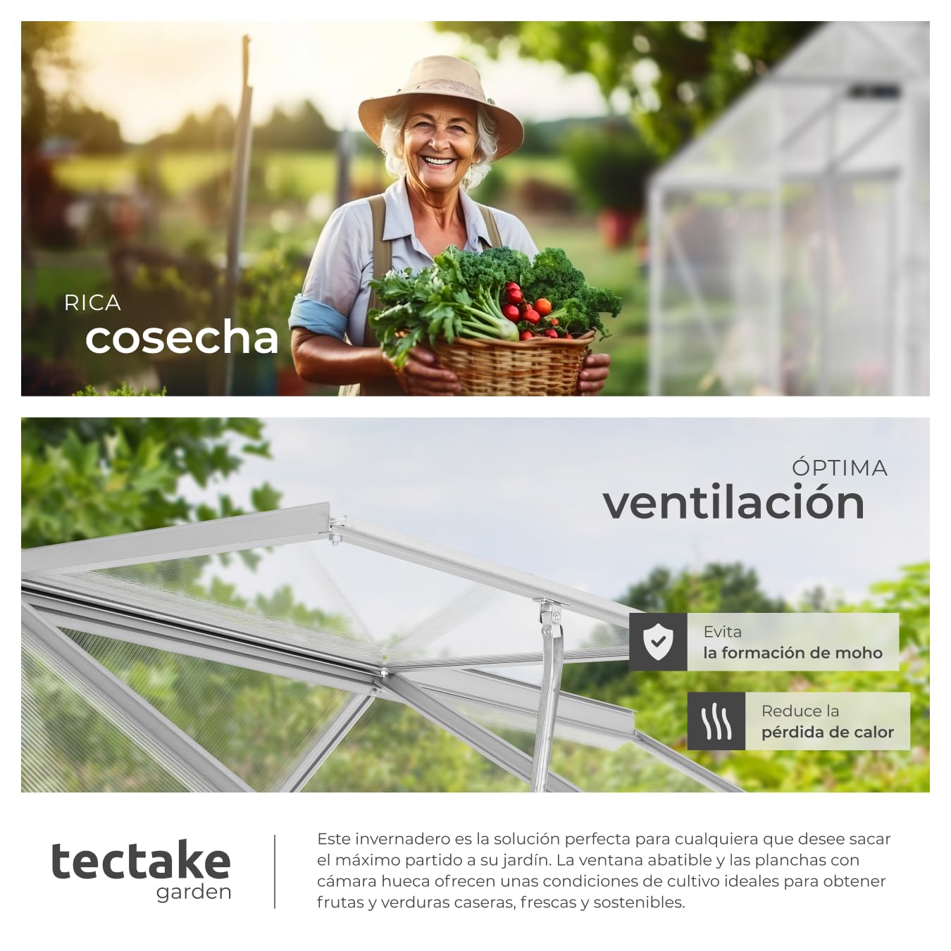tectake Invernadero de Jardín de Aluminio y Policarbonato, Caseta Jardín Exterior 190x185x195, Vivero Huerto Casero 5,85m³, Invernadero Terraza para Cultivo de Plantas