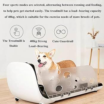 Amazon.co.jp: 犬用トレッドミル、安全柵付きペットランニング