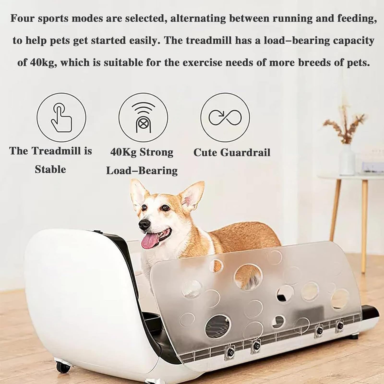 ペットラン　ペット用ランニングマシーン720F 楽天市場】犬の運動器ペットランPR720F【中〜大型犬用ルーム