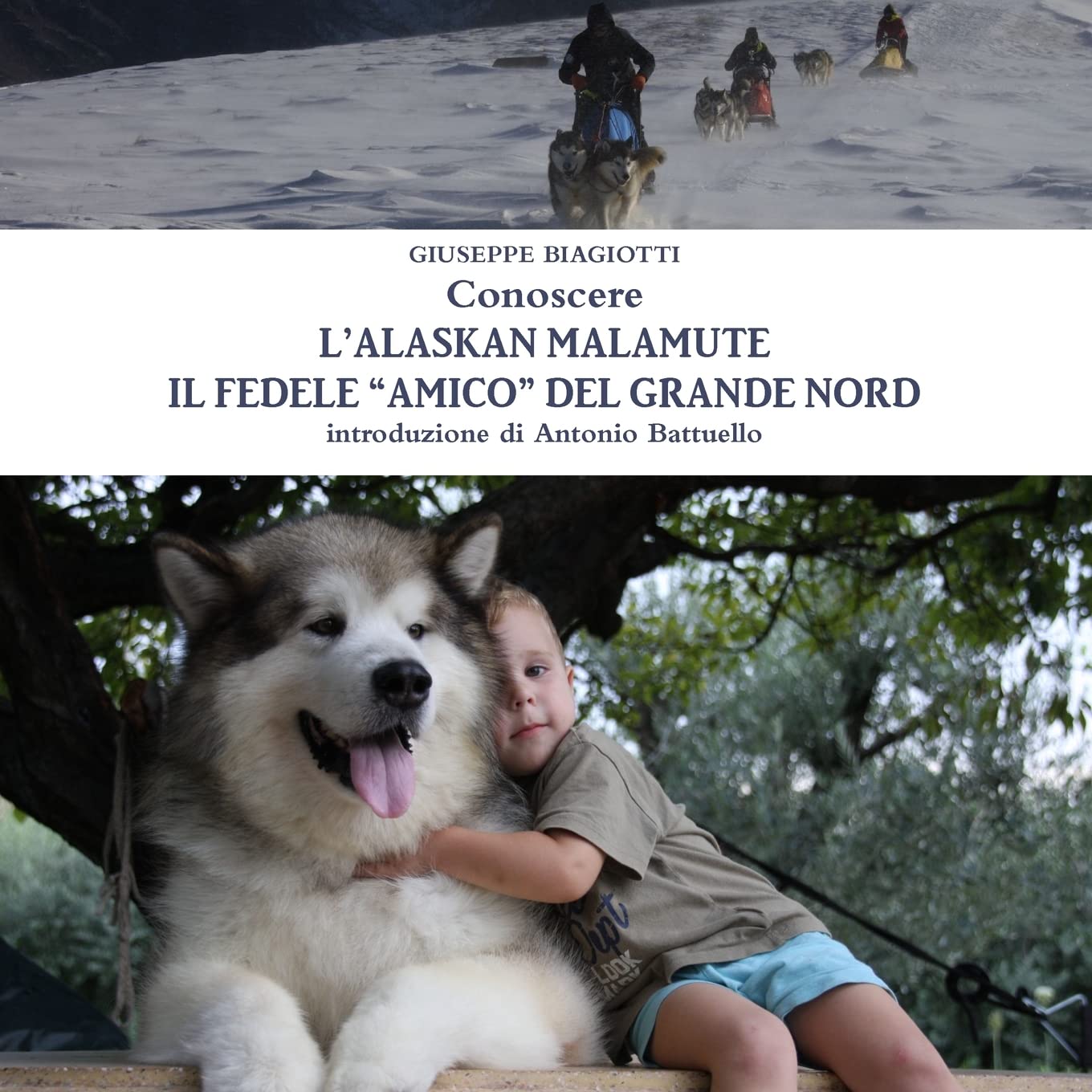 Conoscere L'alaskan Malamute - Il Fedele "Amico" Del Grande Nord