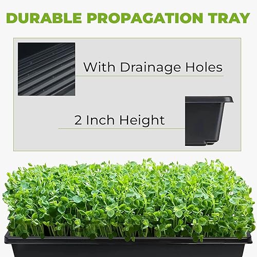 Miniatura 2 de Seed Starter - 100 bandejas de plástico para estaciones de propagación, plántulas de plantas, suministros de germinación de jardín de germinación de