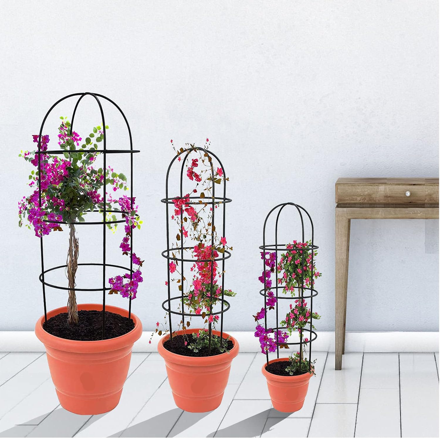A to Z Hub Pack OF 3 Plant Supporter Crips Trellies,Plant Climber Decorative Planter Stand For Indoor and outdoor,Home,Kitchen,Terrace,Garden,Office,Schools,Hotel,restaurants, (Spe Edi 8) (B0BS9MZTVK) Amazon Price History, Amazon Price Tracker