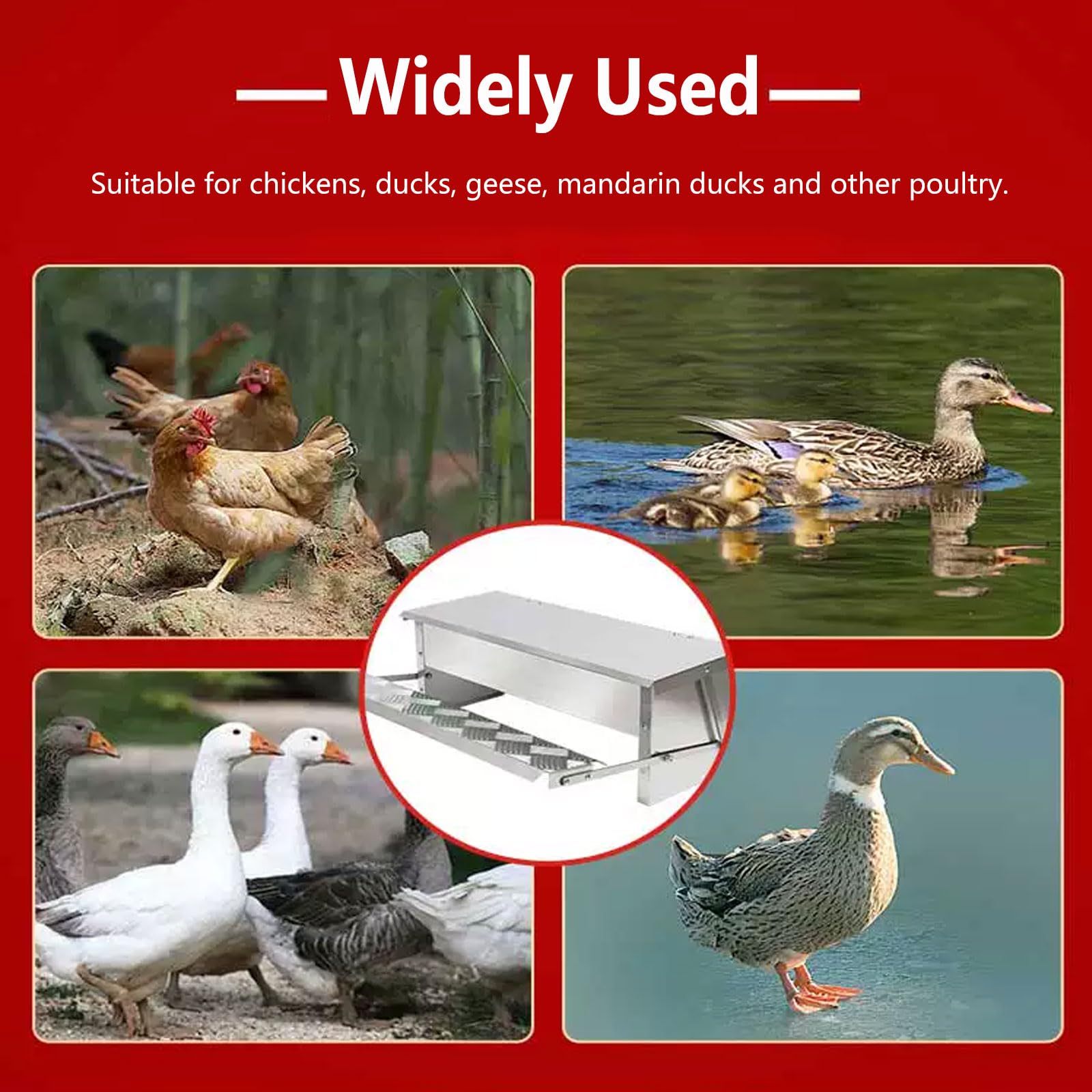 Comedero Automático para Pollos de Acero Galvanizado con Pedal Automático y Manta Resistente al Agua Comedero Gallinas Exterior Anti Desperdicio para Patos, Gallinas Enanas y F(Size:Large - 82.5x18cm)
