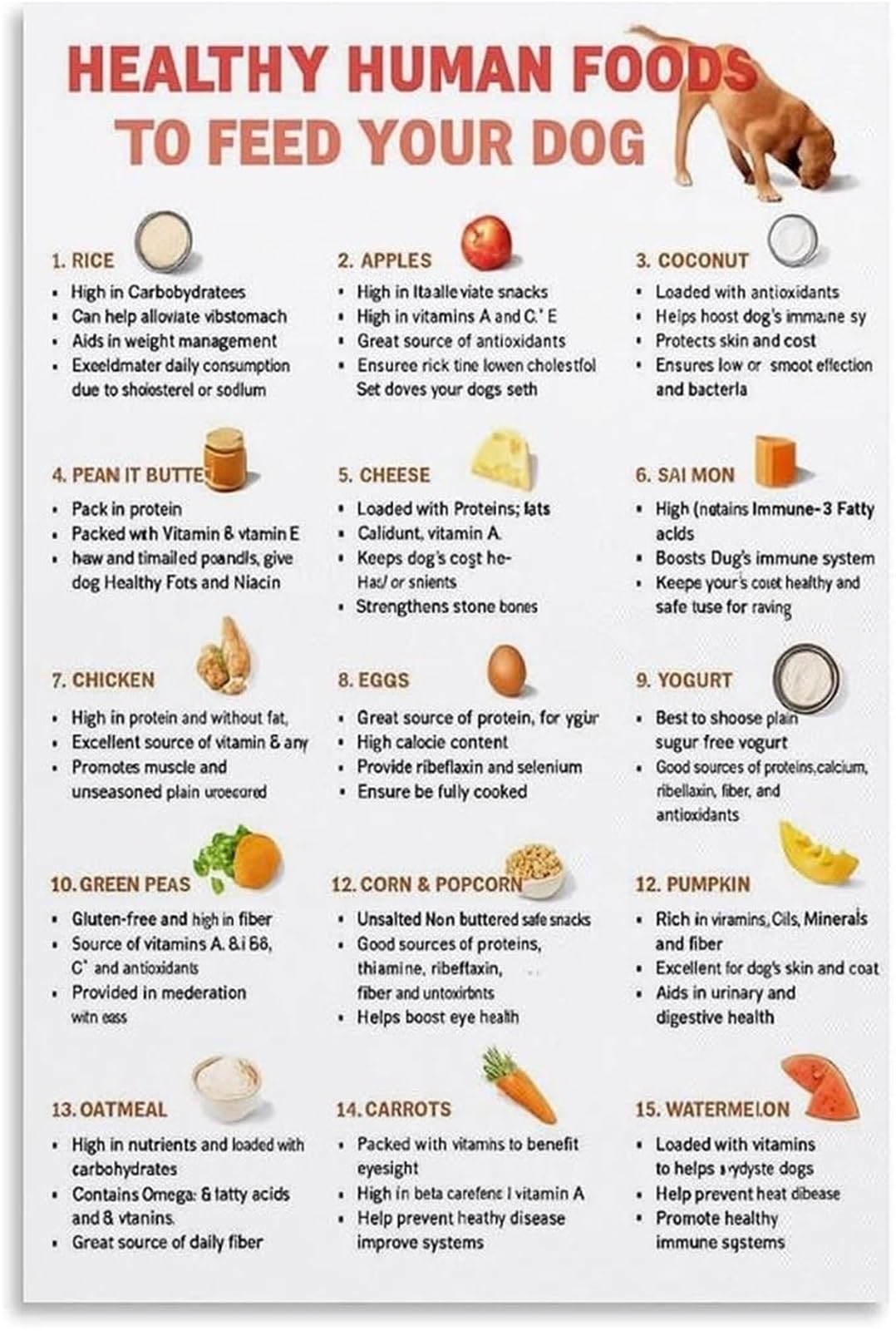 Vet Recommended Human Foods for Dogs Poster Nutritional Guide Print