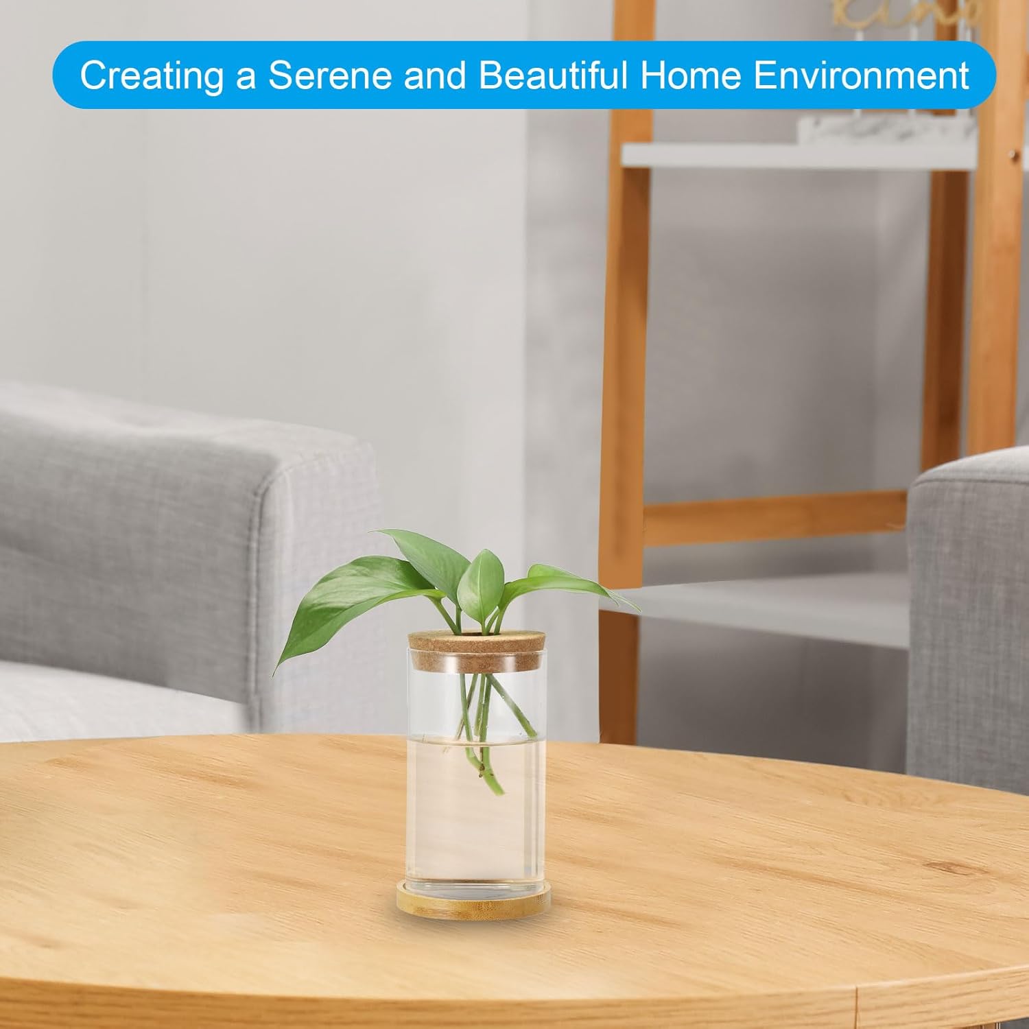 PATIKIL 0.24 x 4.33 Inch Plant Propagation Station, 30 Pcs Plant Terrarium Vases for Home Decoration Garden Gardening Indoor Housewarming Gifts for Plant Lovers Women, Transparent