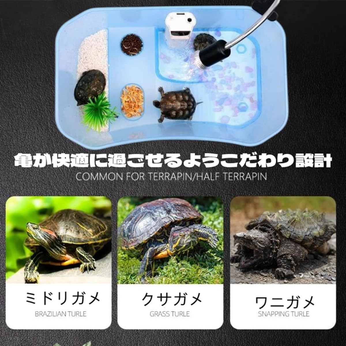 Amazon | カメ用水槽 大きい カメ 水槽 亀の水槽 40CM 60CM 73CM亀