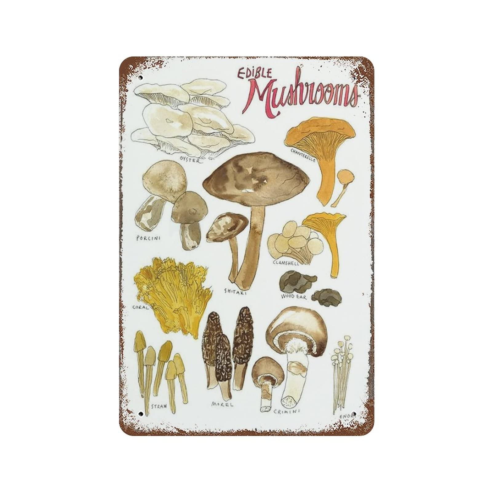 AOOEDM Edible Mushrooms Vintage Tin Sign Metal Tin Signs for Man Cave Funny Art Wall Plaque Kitchen Bar Pub Coffee Shop Wall Decor