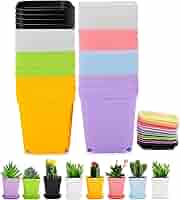 英国植木鉢プラスチック32×36 英国植木鉢プラスチック32×36 - メルカリ