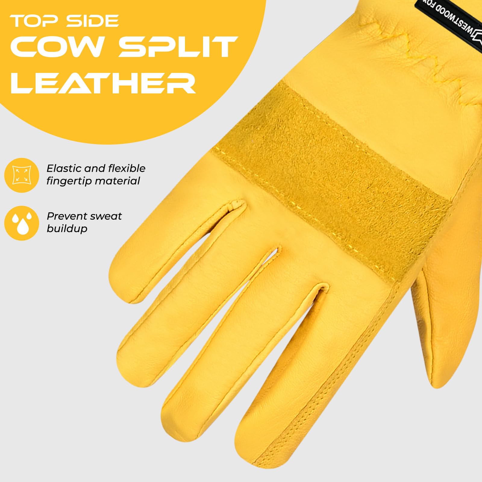 View 5