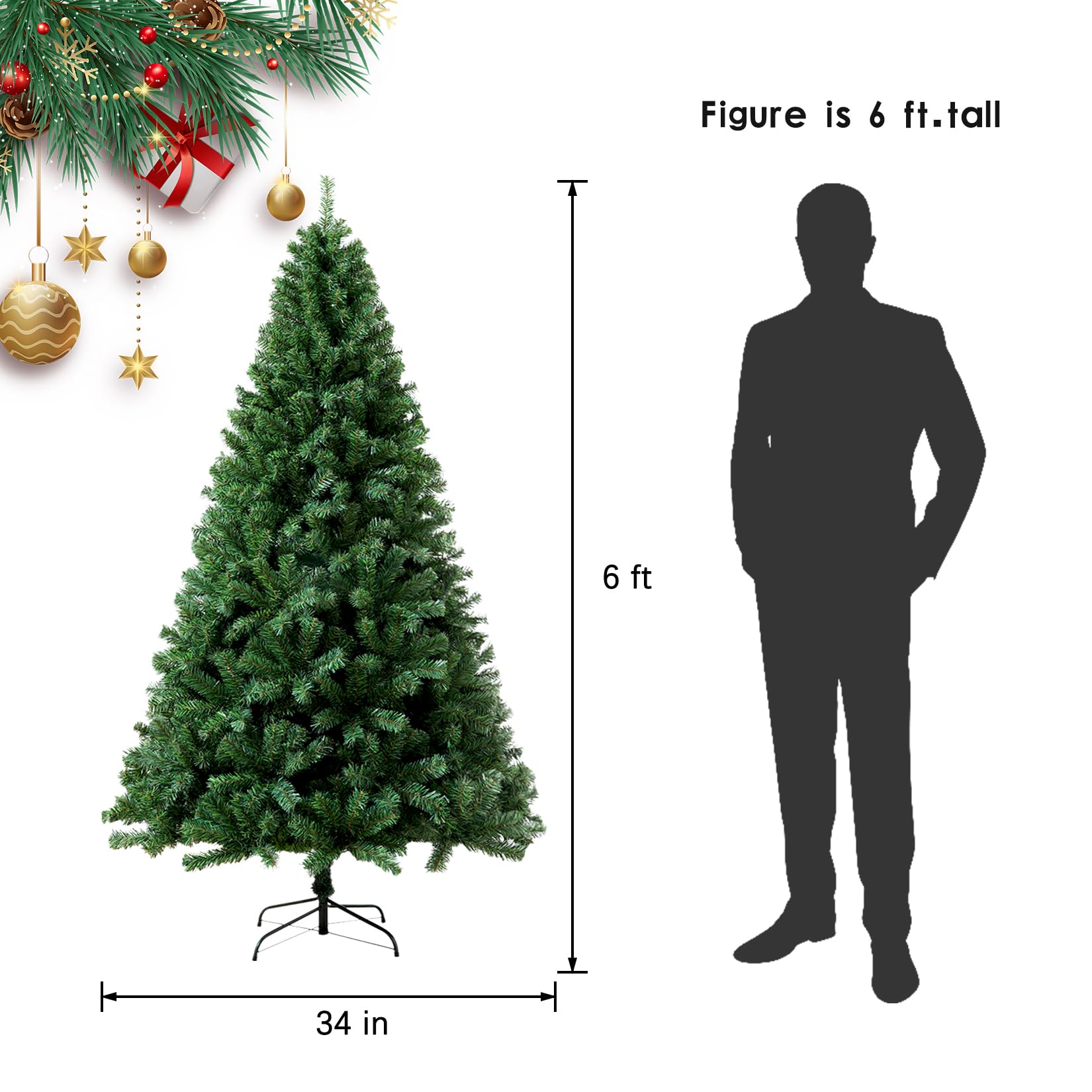 https://m.media-amazon.com/images/I/71w-QUbGD7L.jpg