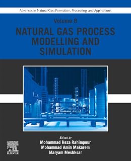 Advances in Natural Gas: Formation, Processing, and Applications. Volume 8: Natural Gas Process Modelling and Simulation