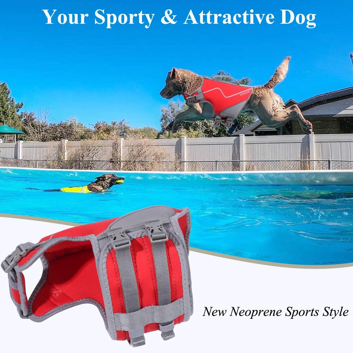 Chew-Proof Dog Leash + Dog Life Jacket