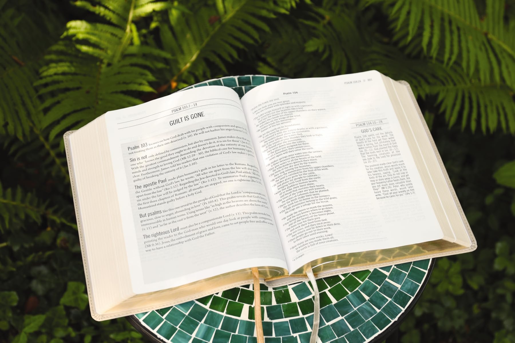 The Jesus Bible: Niv Edition, Stone, Comfort Print