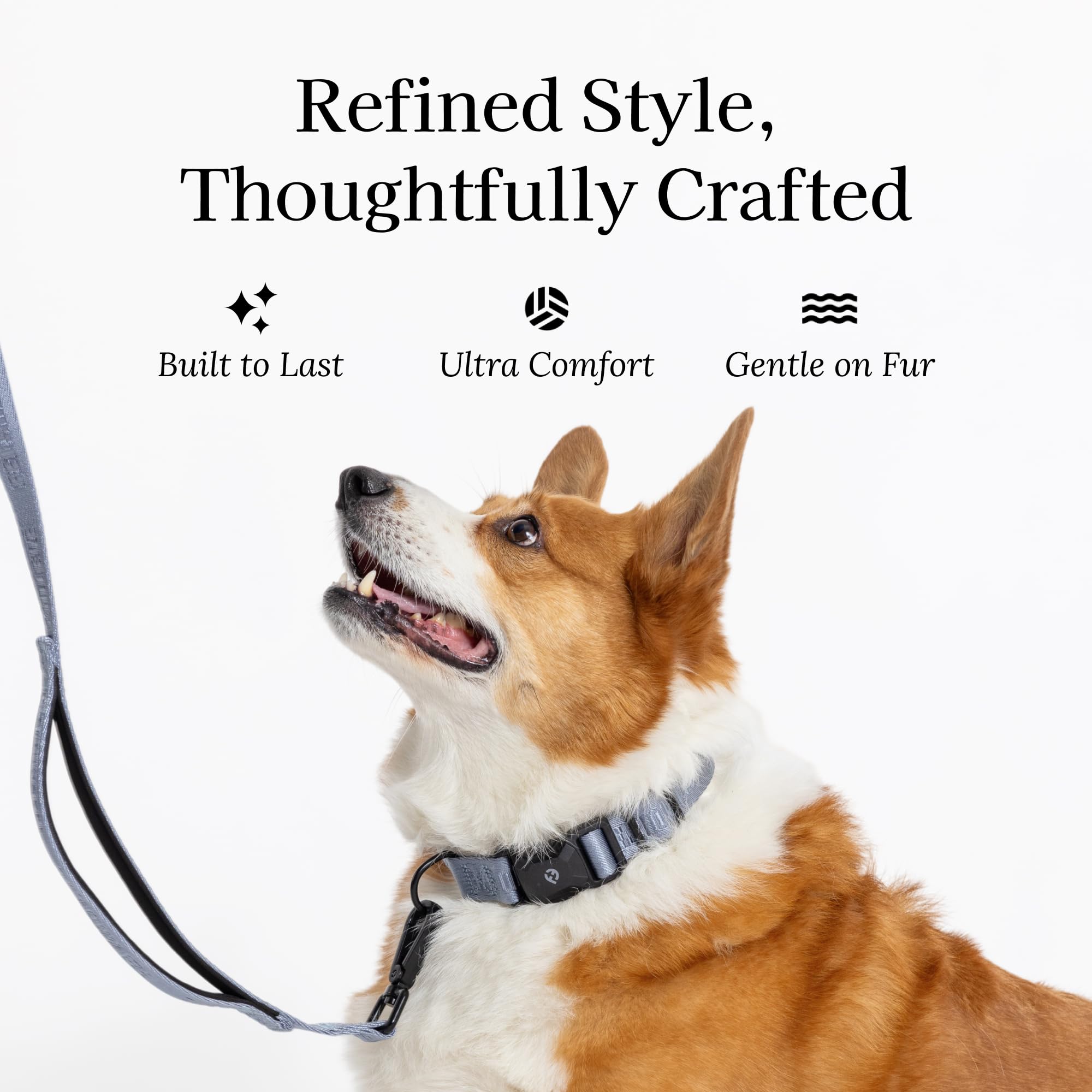 Fei & Eve MagEase - Collare per cani 2026, con fibbie magnetiche brevettate, sicuro per la pelliccia, nylon 210D di alta qualità, a prova di fuga, 204 kg, vestibilità regolabile, taglia L, blu scuro