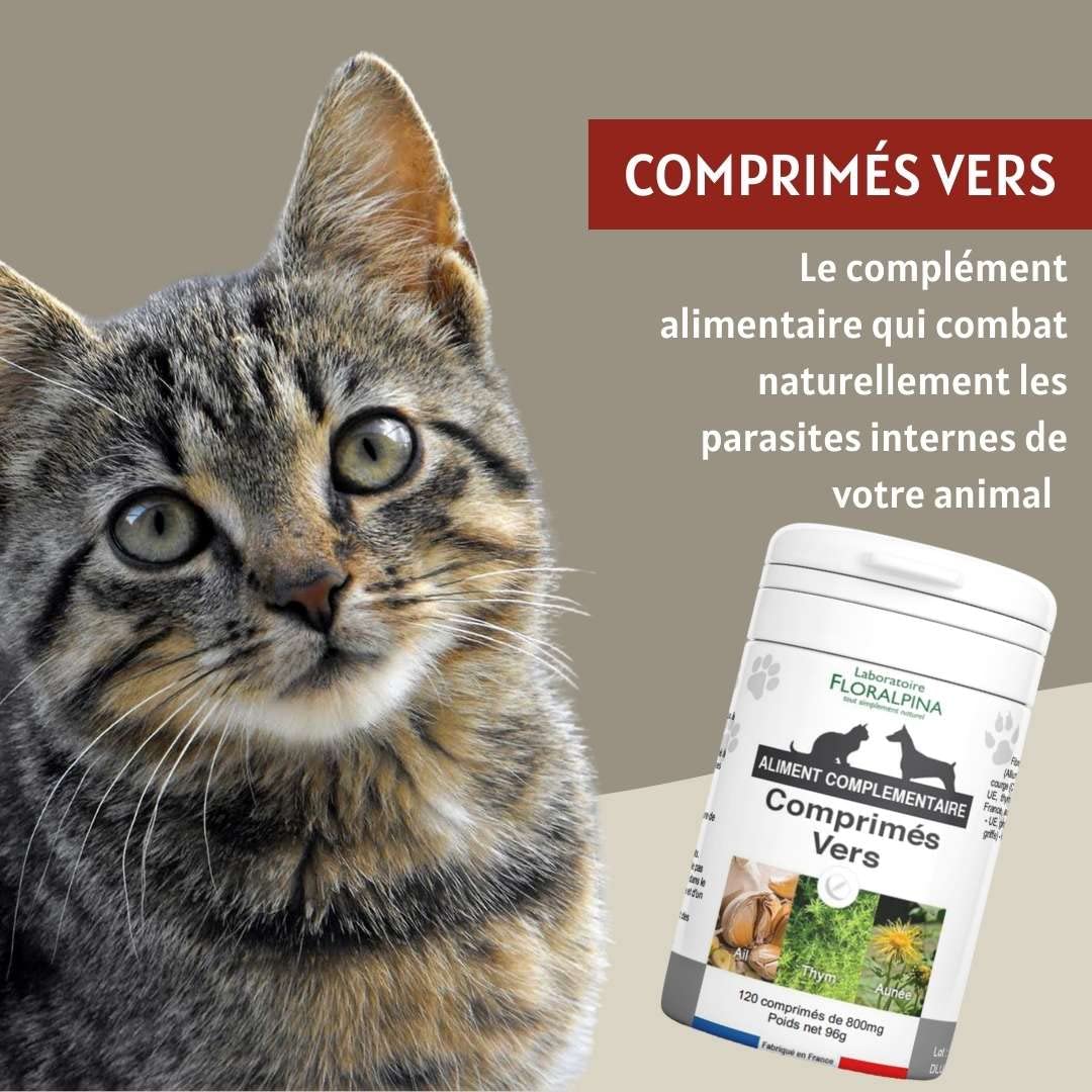 Complexe vers- Vermifuge Naturel pour Animaux (Chien et Chat) 100% Naturel (120 comprmés)