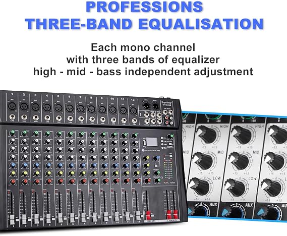 Depusheng DT12 Studio Audio Mixer 12-Channel DJ Sound Controller Interface w/USB Drive for Computer Recording Input, XLR Microphone Jack, 48V Power, RCA Input/Output for Professional and Beginners
