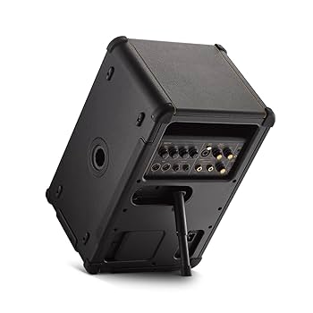 Amazon.com: Positive Grid Spark Live Smart Guitar Amp, Multi