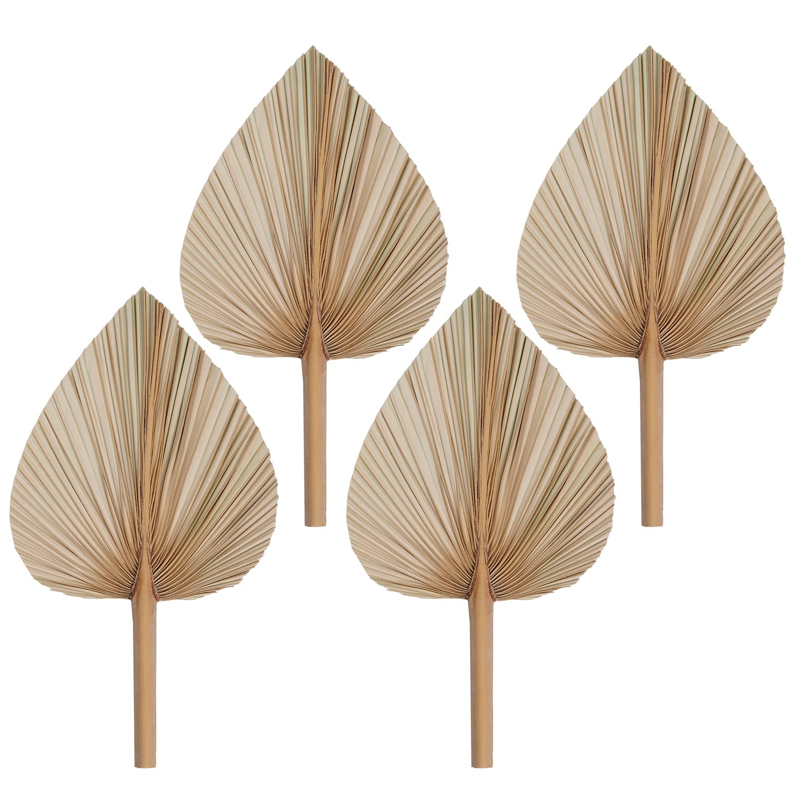 Rbenxia 4 Piece Natural Dried Palm Leaves Heart Shape Boho Fans with Tropical Leaves and Dried Flowers for Holidays, Weddings, Parties and Baby