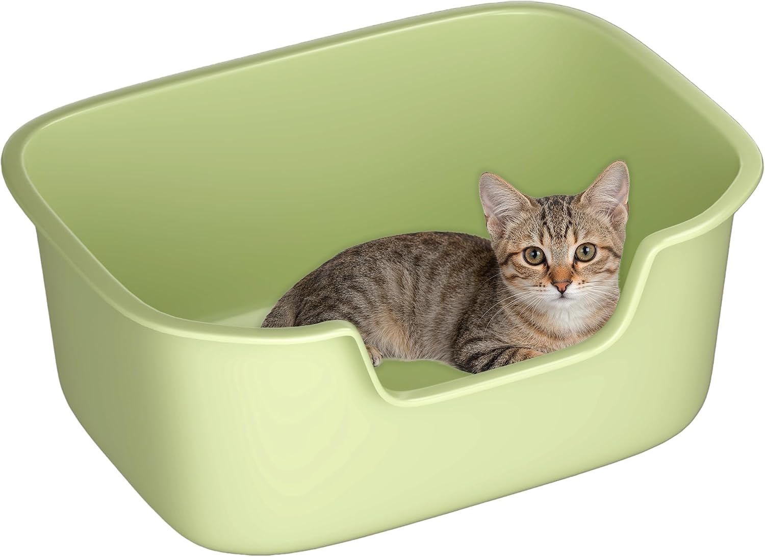 Large Open Cat Litter Box with High Sides, Anti-Splashing for Indoor Cats, Low Entry for Kittens & Elderly Cats, Spacious Litter Pan, Tool-Free Assembly(21.7” * 16.5” * 8.5” Grey)