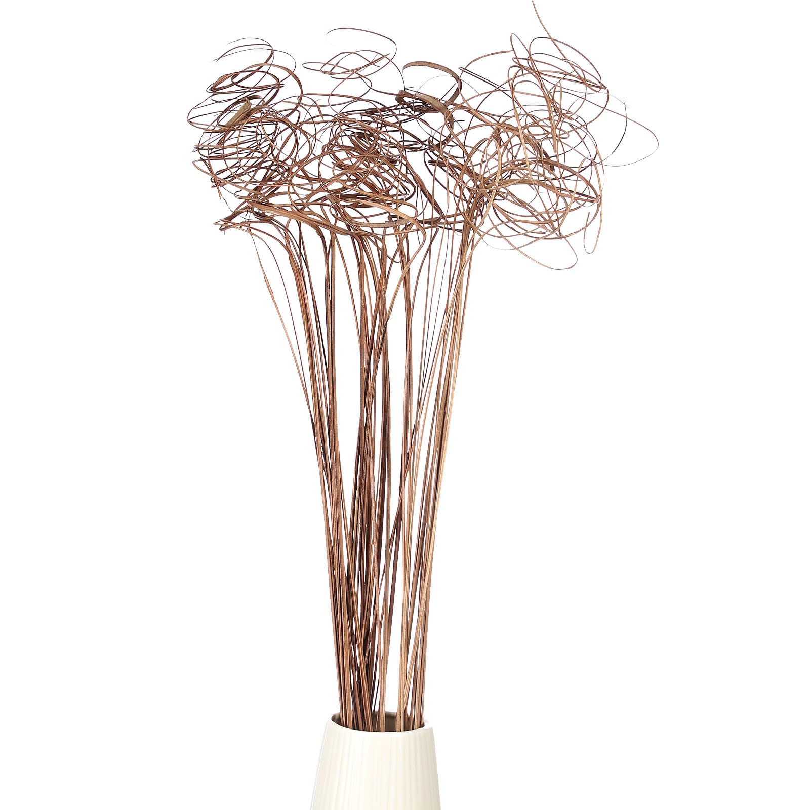 PATIKIL Brindilles Bouclées, 30 Pcs Branches de Saule Naturel Séchées Pics de Sapin de Noël pour Décoration de la Maison Cuisine Mariage Bricolage Couronnes Vases Cadeau, en Bois